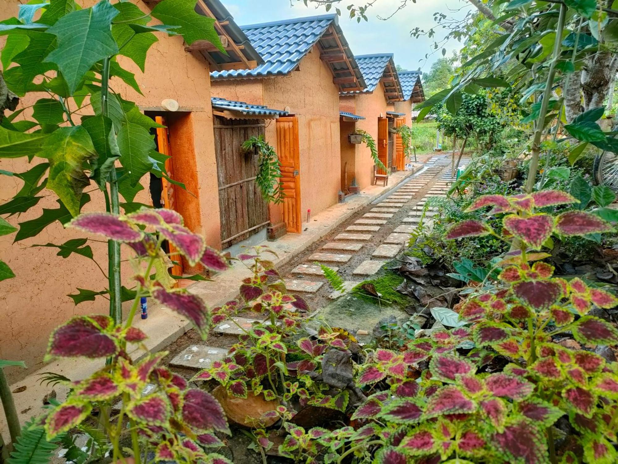 Ly Danh Homestay Quan Ba Cameră foto